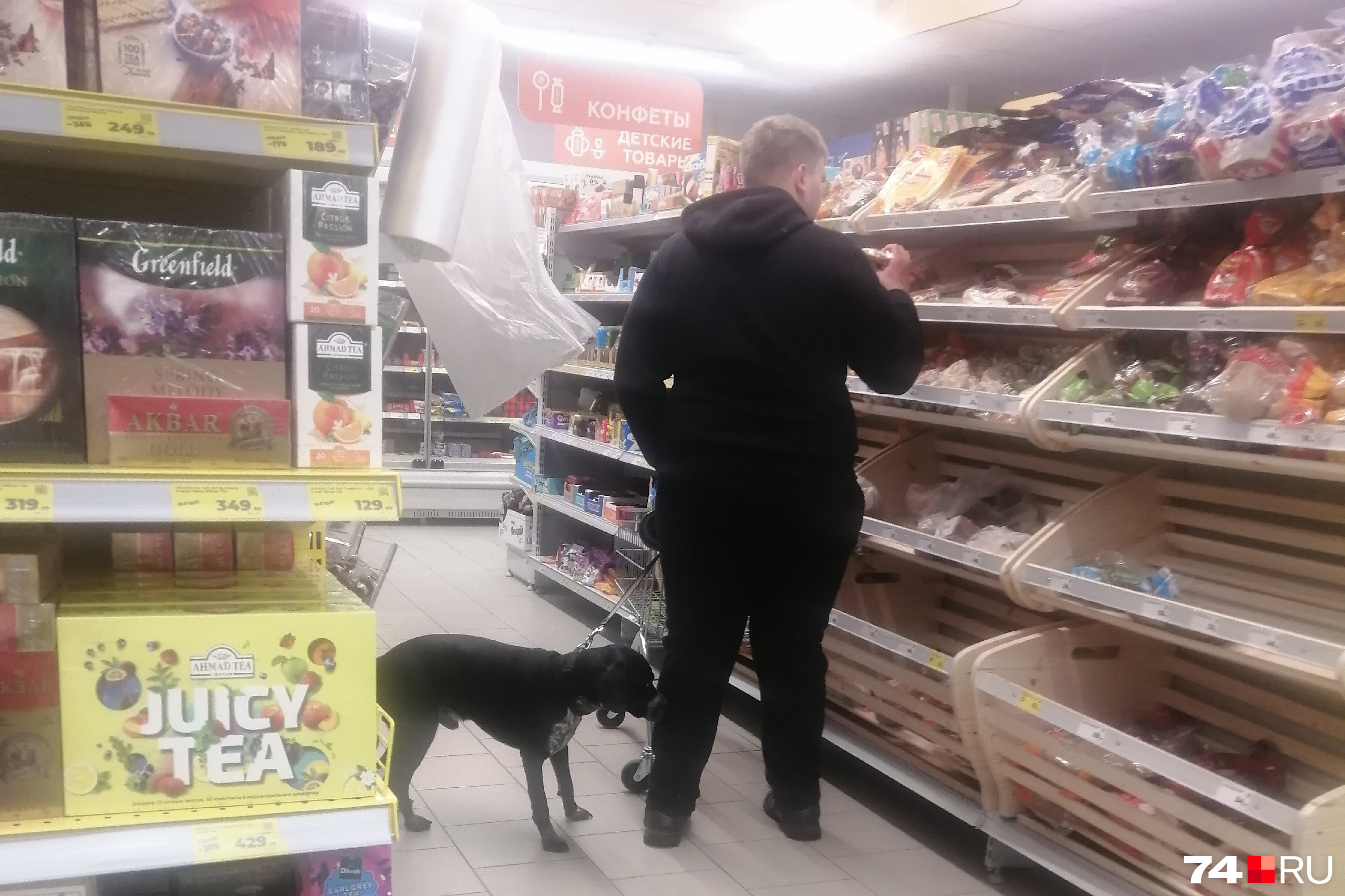 Взрослому-то не по себе, а как сына отправлять: мама ребенка с аутизмом  о покупках в супермаркетах в компании с собаками