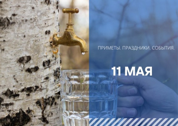 Приметы 11 мая: почему в Максимов день стоит пить берёзовый сок